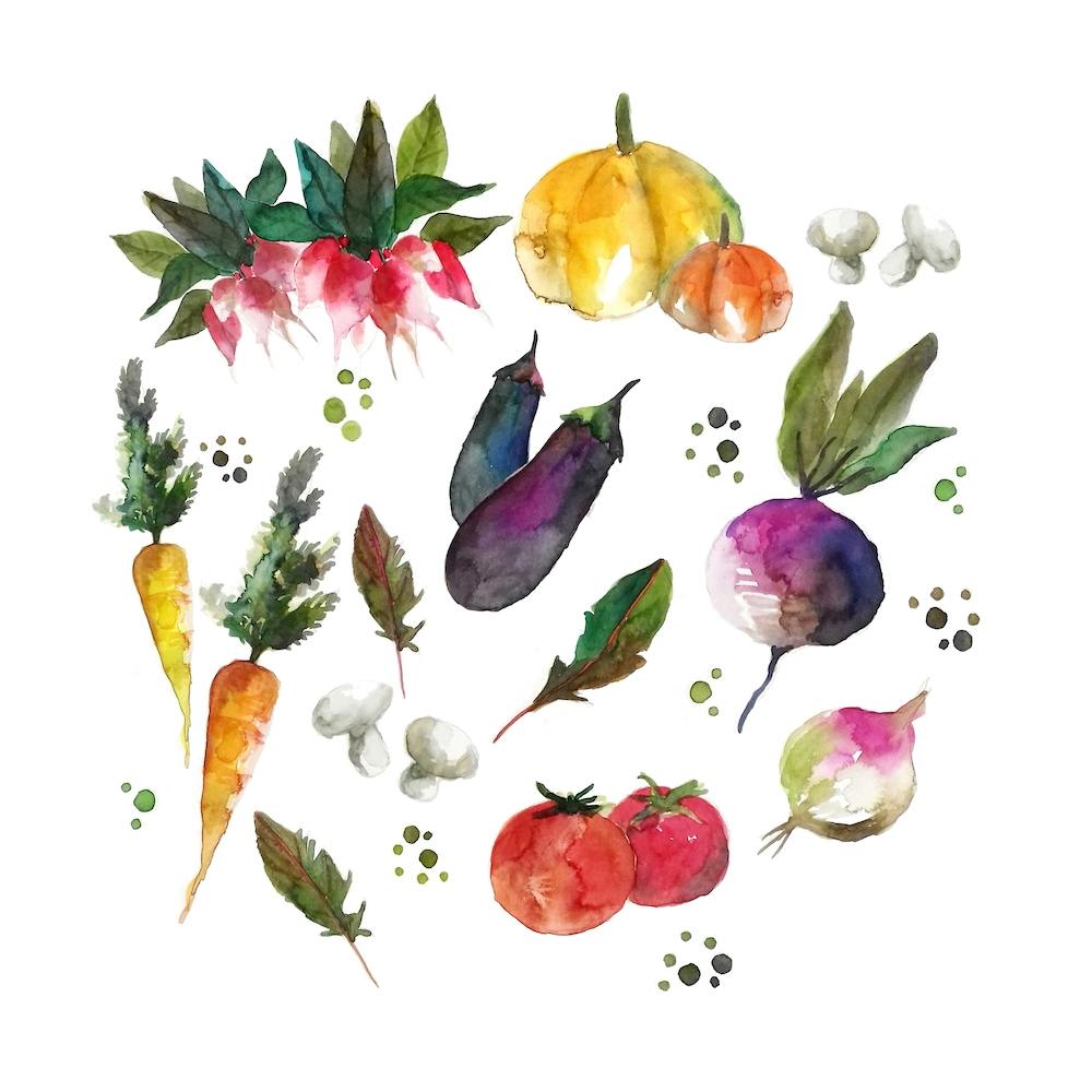 Les Legumes