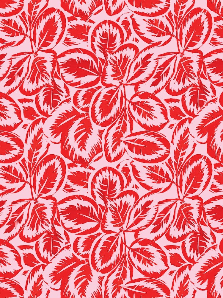 Calathea Print