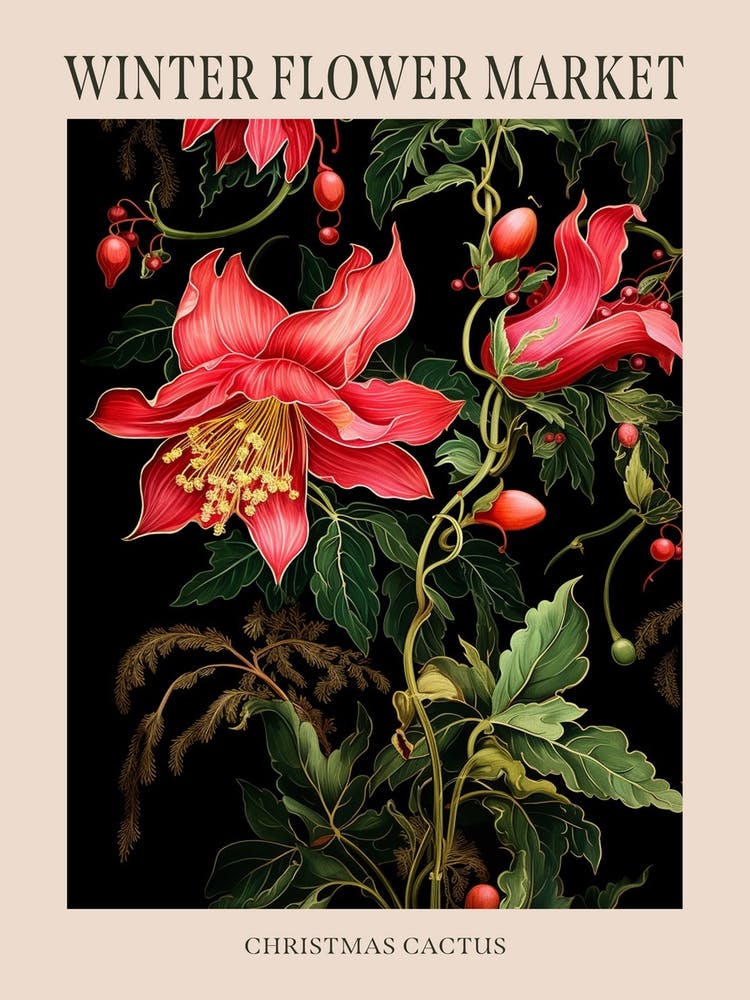 Christmas Cactus 4 Winter Flower Market Poster