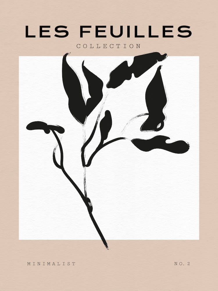 Boho Bohemian 7 Capparis