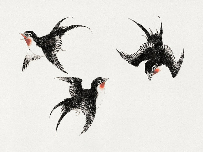 Birds, From Album Of Sketches (1814) Vintage Japanese Woodblock Prints Birds, From Album Of Sketches (1814) Vintage Japanese Woodblock Prints