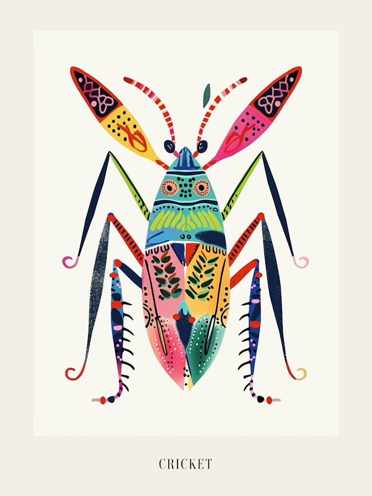 Colourful Insect Illustration Cricket 5 Poster