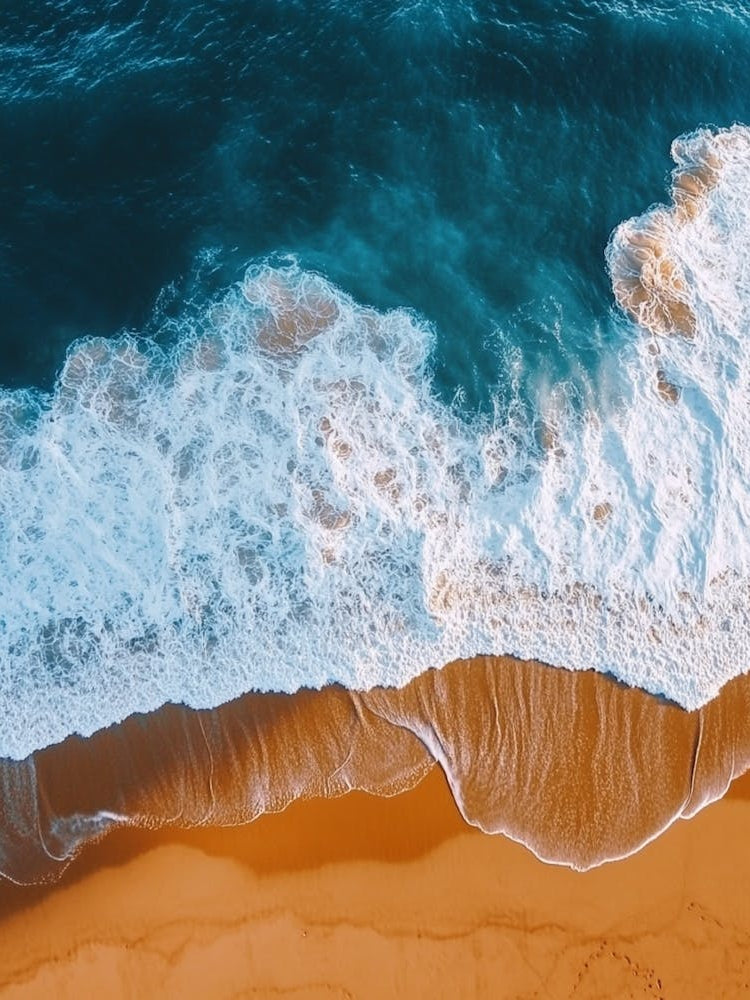 Aerial View Of The Beach 8