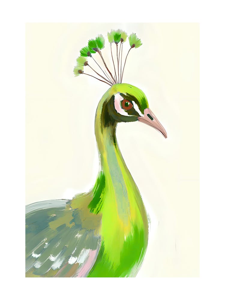 Peacock 31