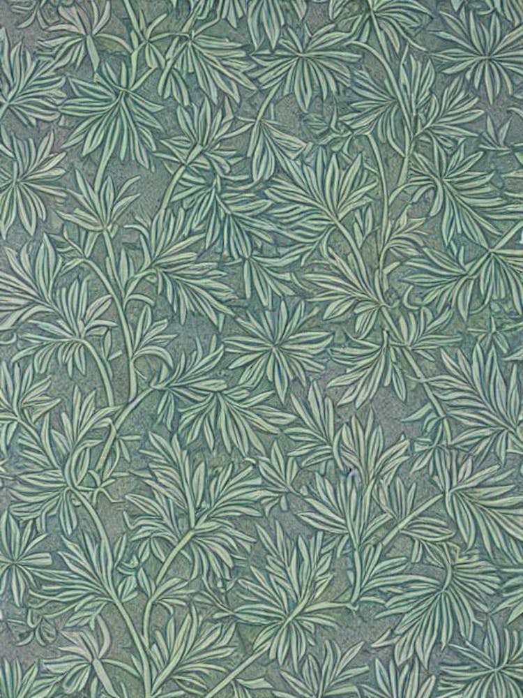 Western Red Cedar 2 tree Vintage Botanical