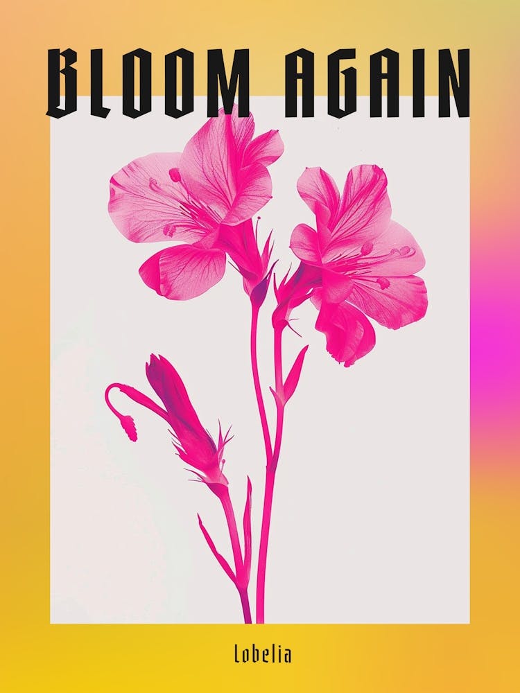 Hot Pink Lobelia 2 Poster