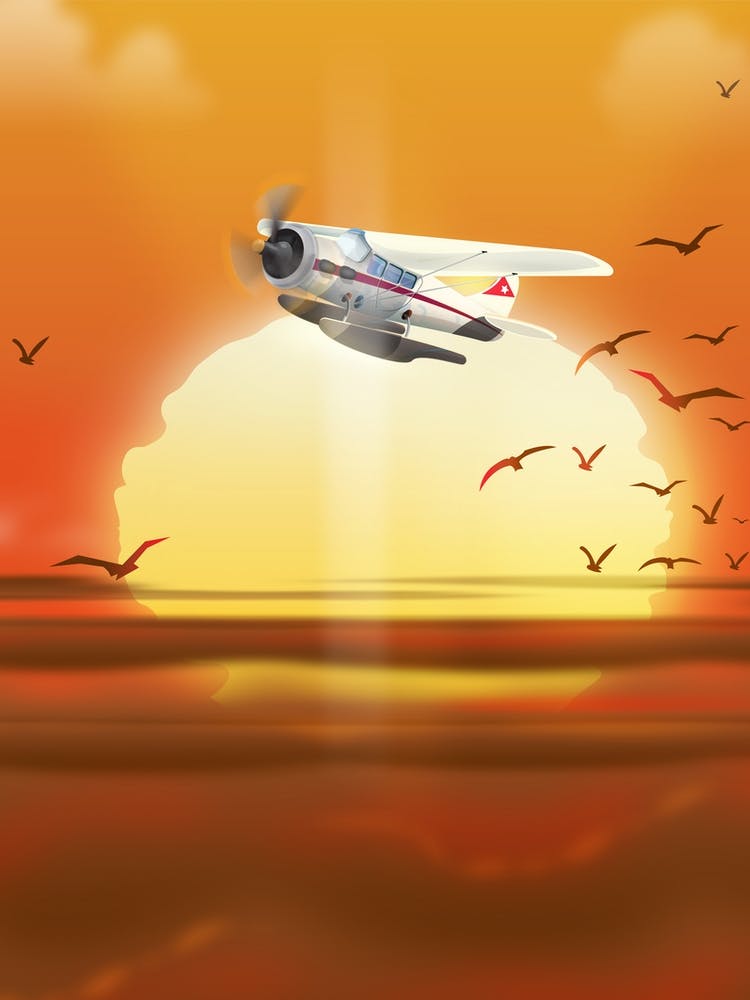 Avion Au Coucher du Soleil