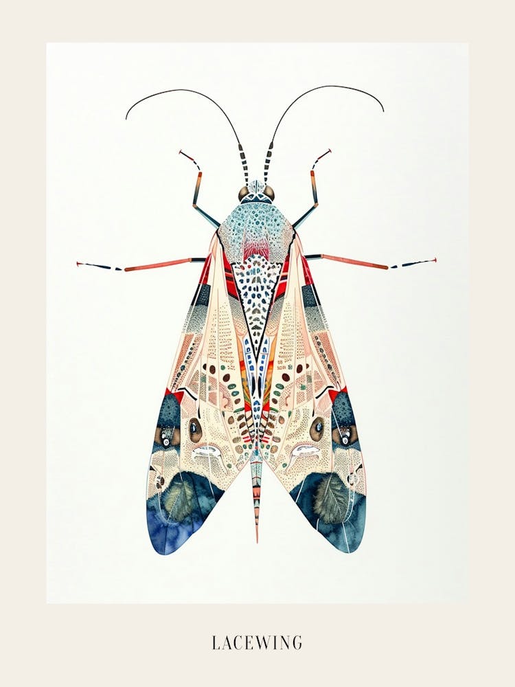 Colourful Insect Illustration Lacewing 17 Poster