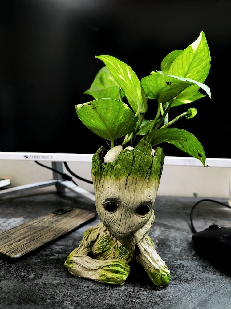 Guardians Of The Galaxy Groot With Money Plant