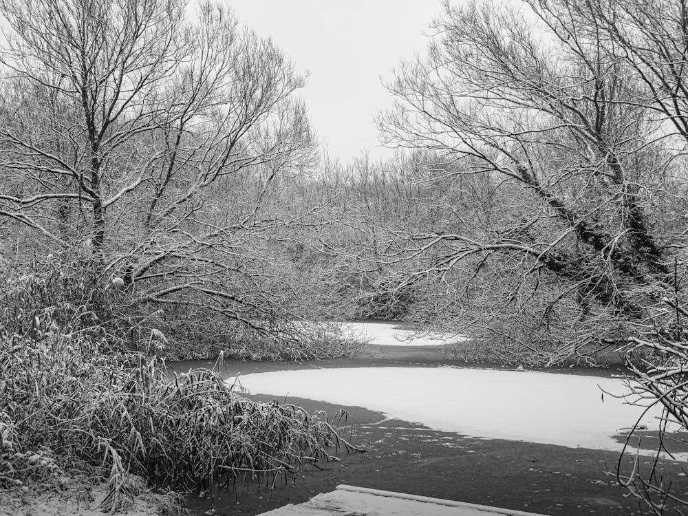 Snowy River