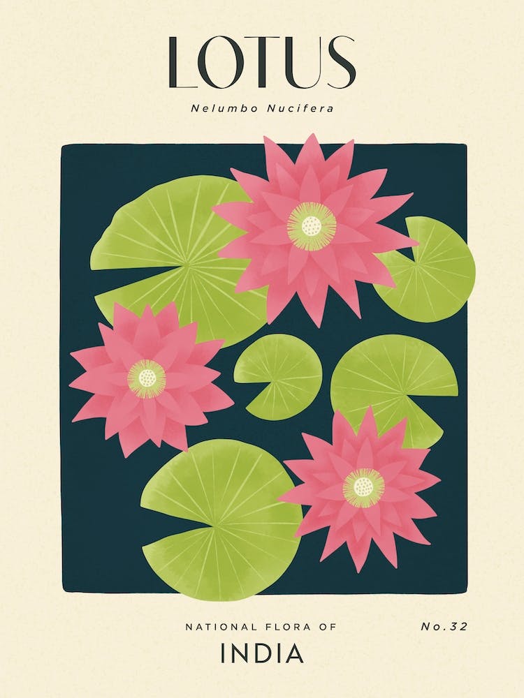 Vintage Green And Pink Lotus Flower Of India 1