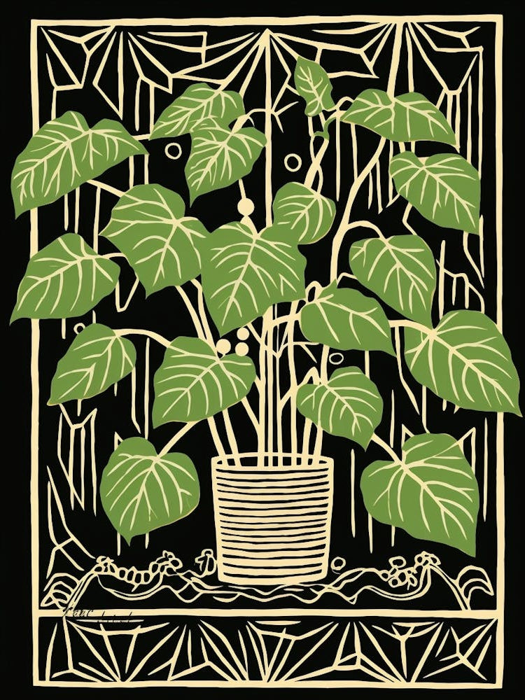 B&W Plant Illustration Philodendron 3