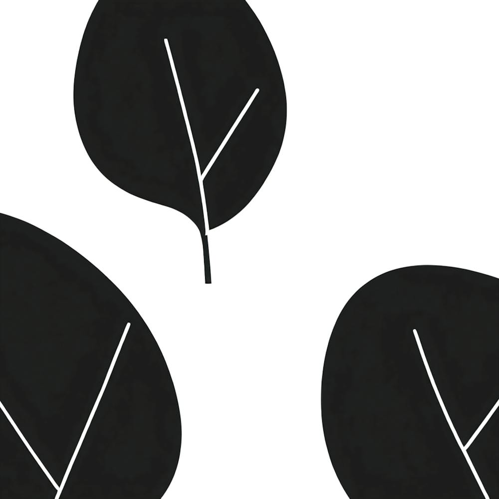 Black And White Leaves