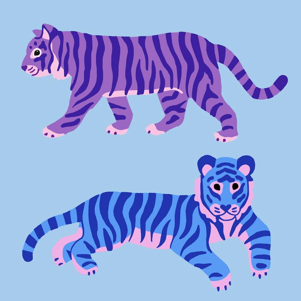 Blue And Purple Tigers