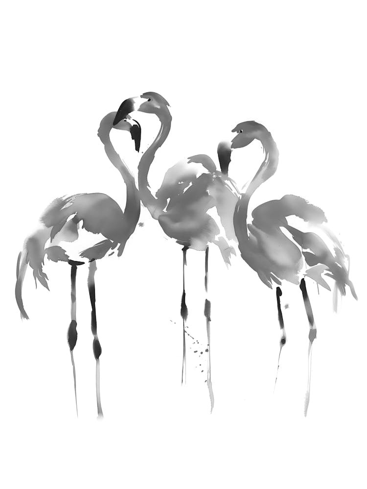 Flamingos 3