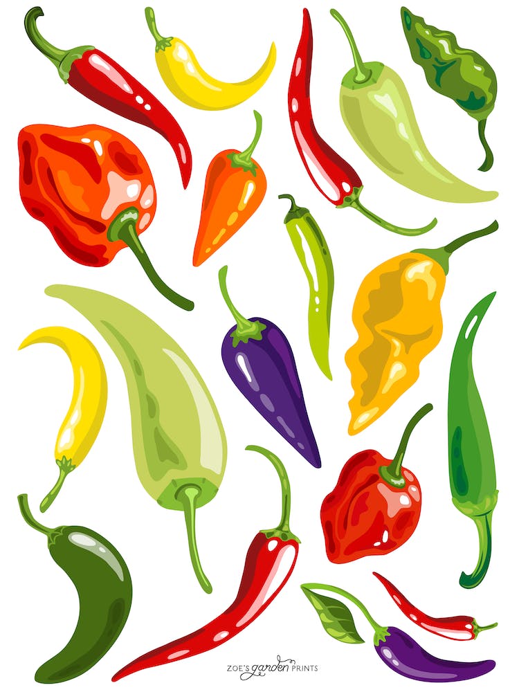 Choice Chillies