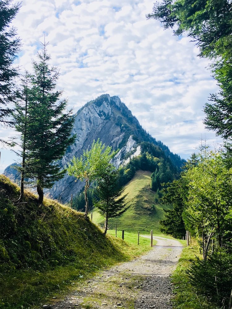 Mountain Walk