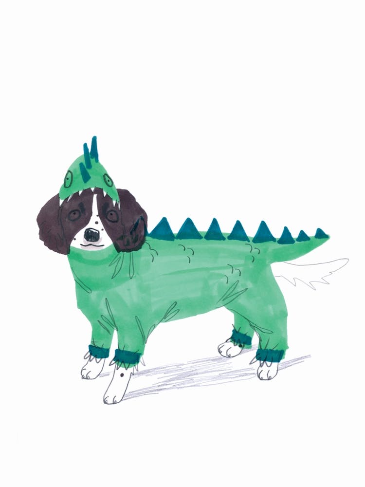 Dragon Dog