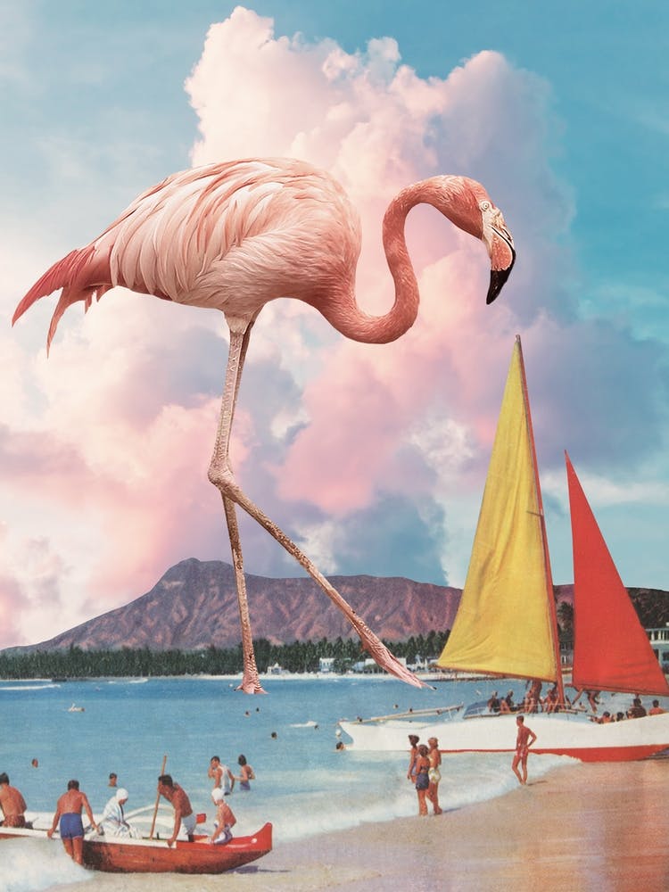 Flamingo Playground