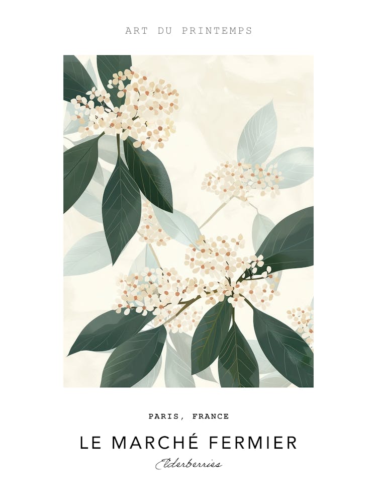 Elderberries Le Marche Fermier Poster 1