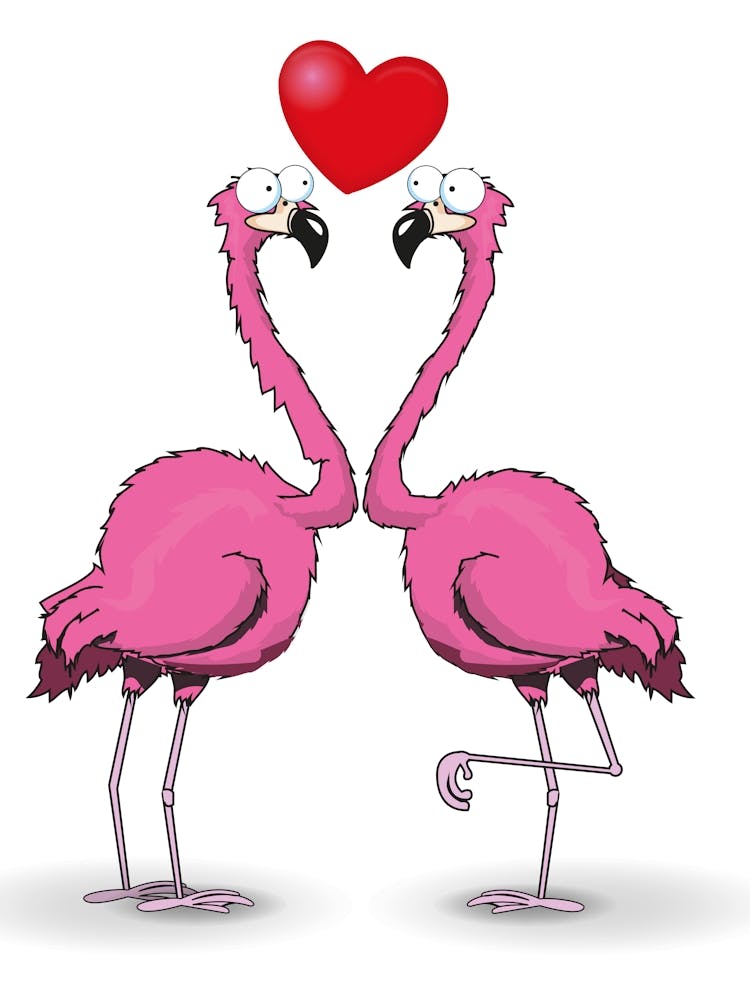 Pink Flamingos in love