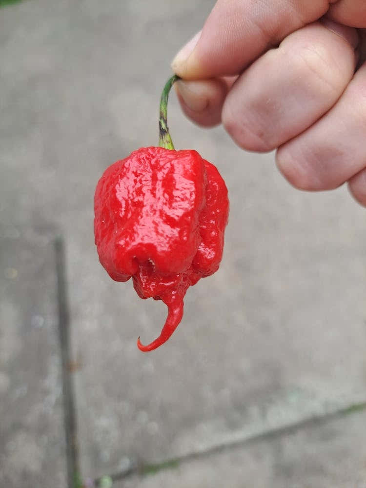 626a3bf0 829c 4a94 9ebc 7f0c9b764ecc 1 All 22270