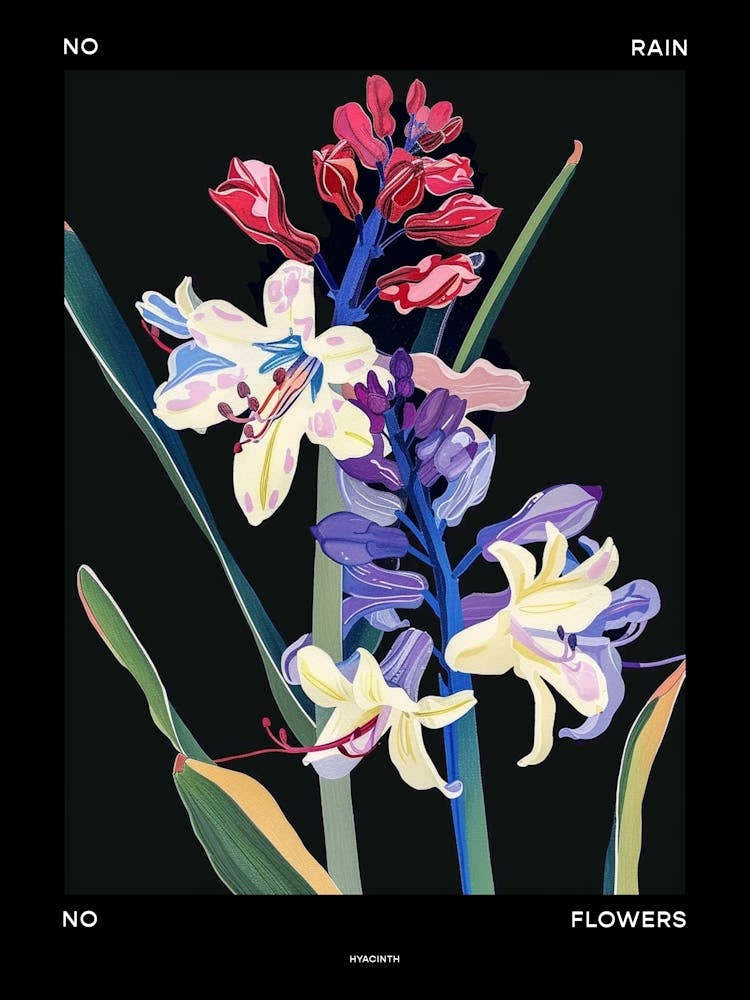 No Rain No Flowers Poster Hyacinth 4