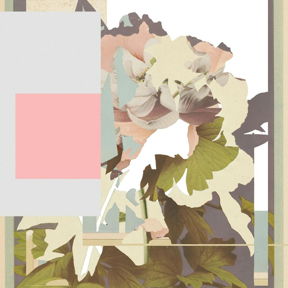 The First Plant · F