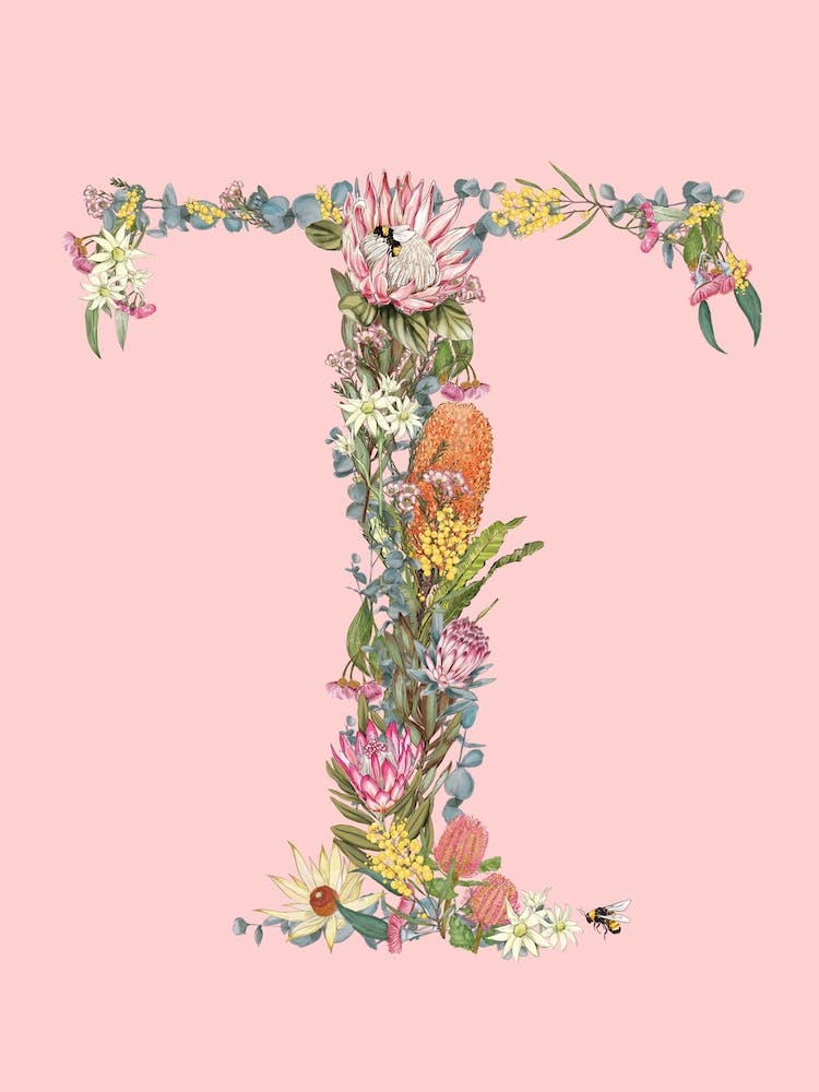 T Pink Alphabet Letter