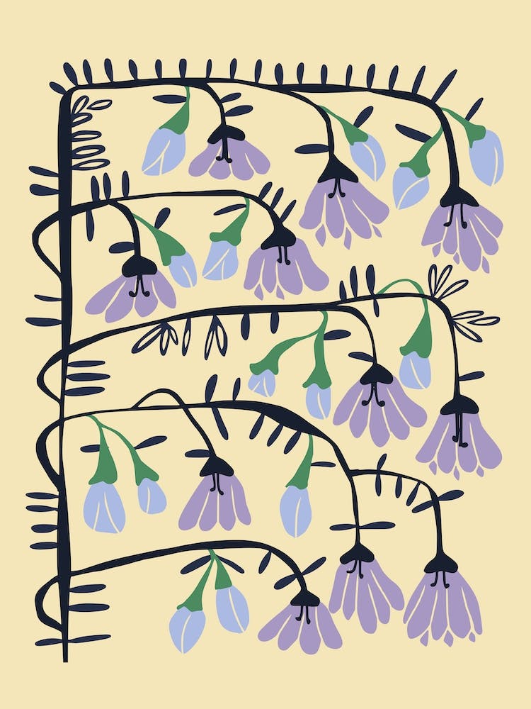 Matisse Expression Innocence Ivory