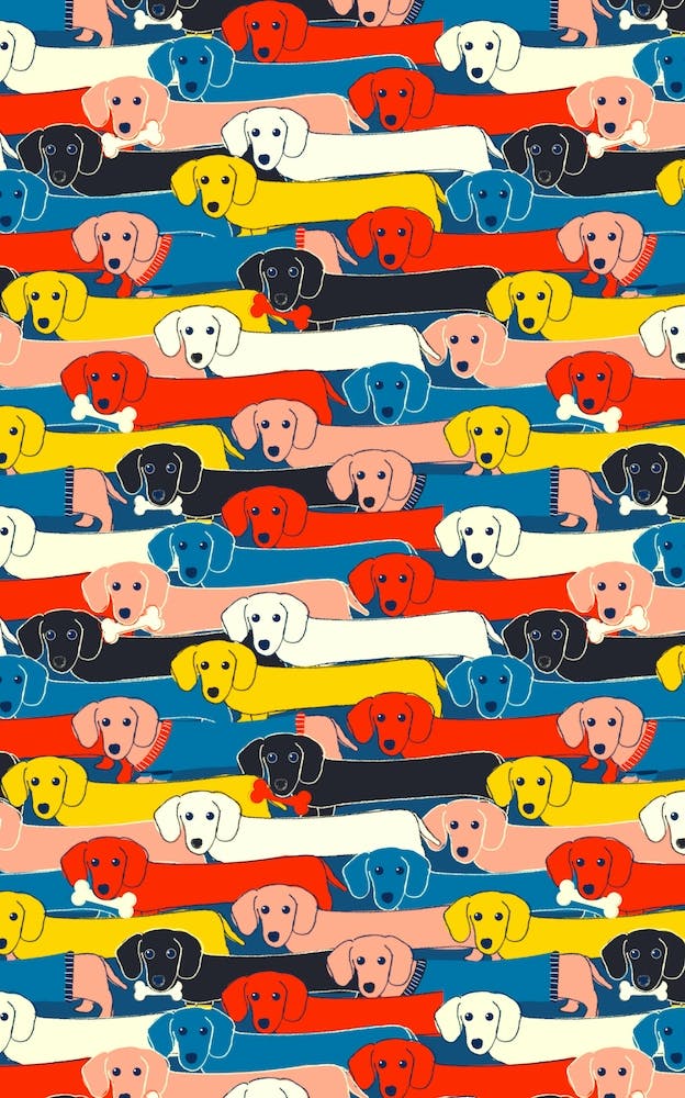 Dachshund Pattern
