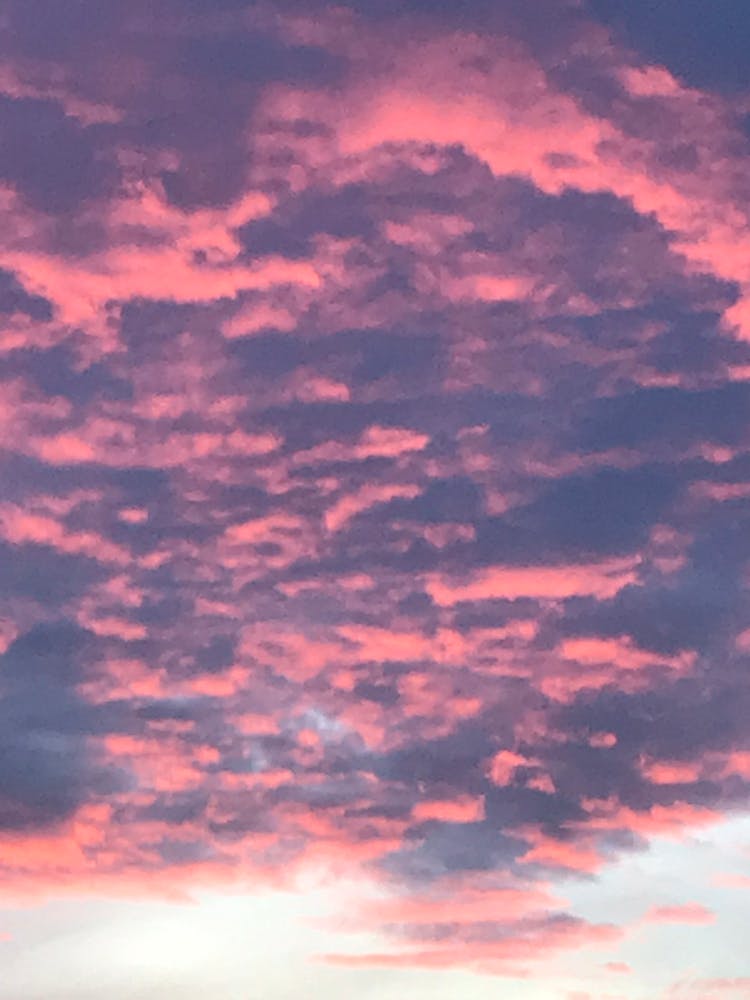 8739c94d 7b04 4ee4 Aa65 012e587b6d97