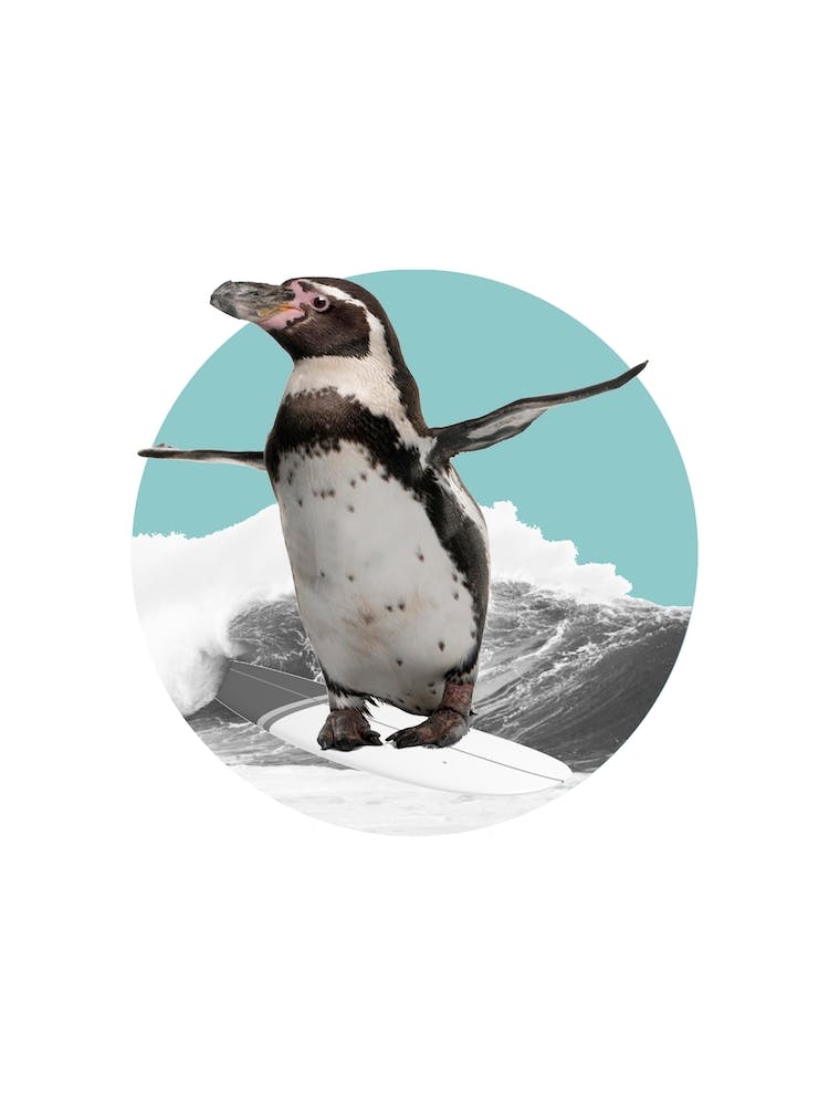 Humboldt Penguin Collage