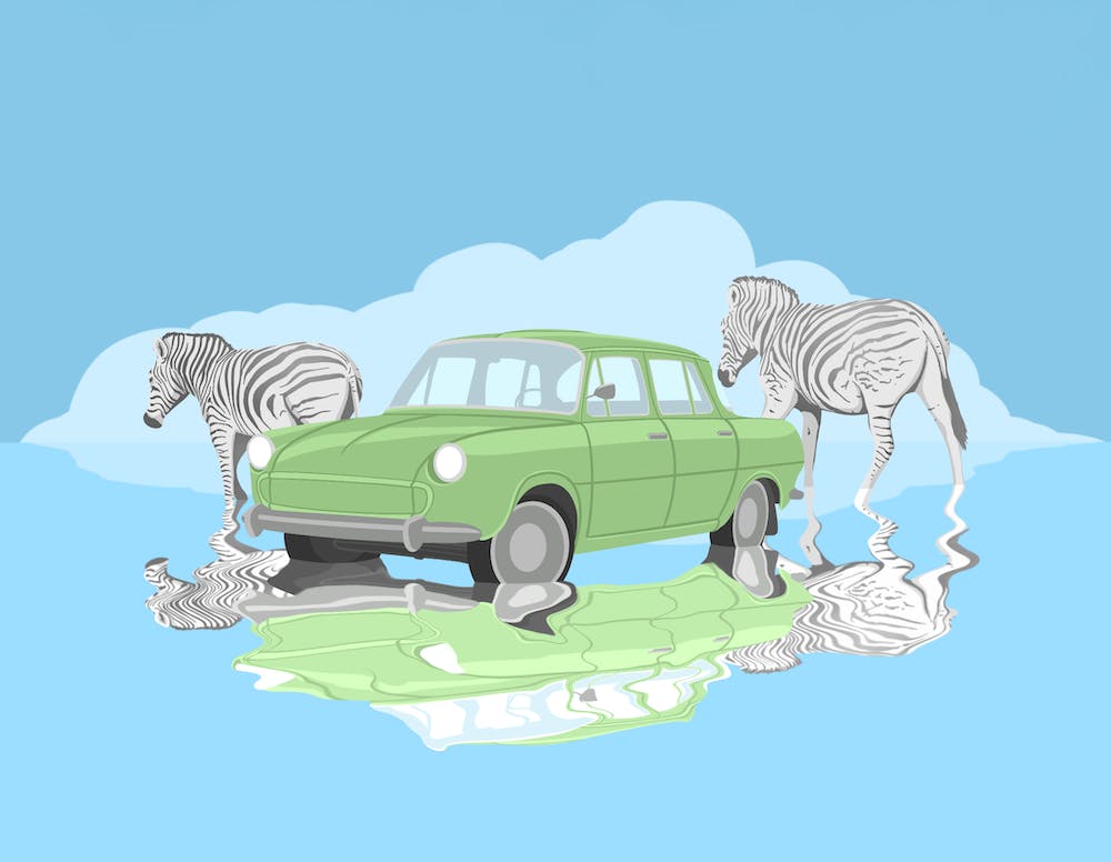 Car And Zebras, animals, classic car, illustration, wall art