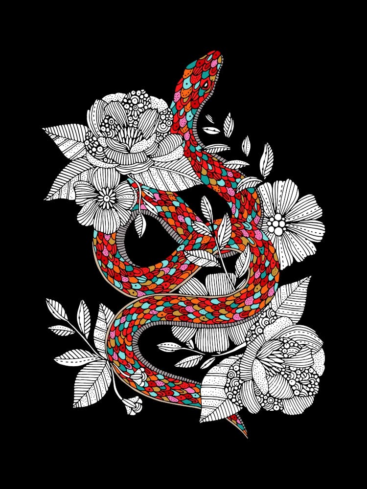 Year Of The Snake Black Bk