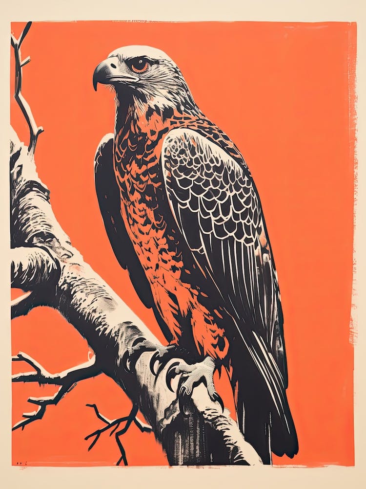 Harpy Eagle, Woodblock Animal Drawing 3