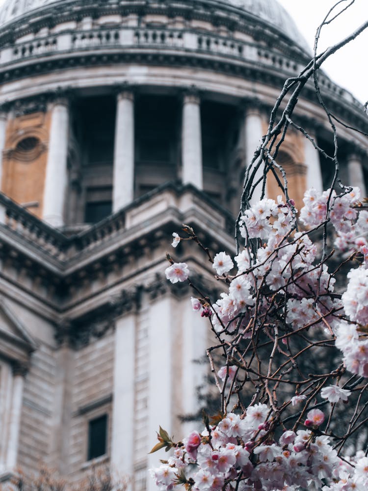 St Paul'S Cathedral