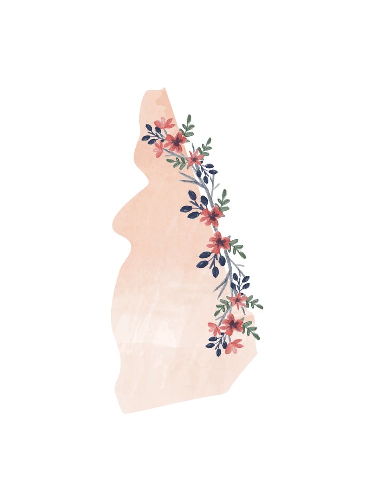 New Hampshire Watercolor Floral State