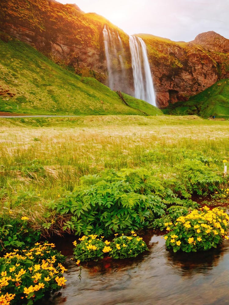 Wasserfall in Island