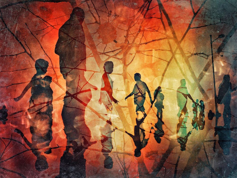 Silhouettes Study