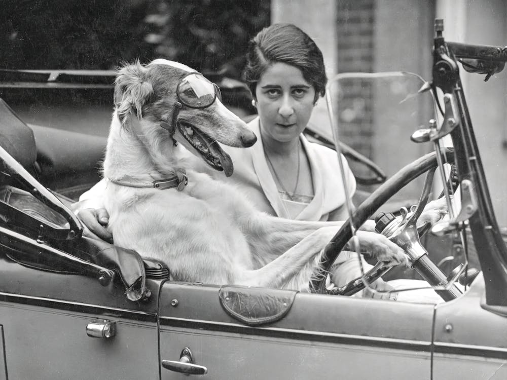 Woman and Dog, Dog Driving Car, Vintage Black and White Old Photo, Funny Art