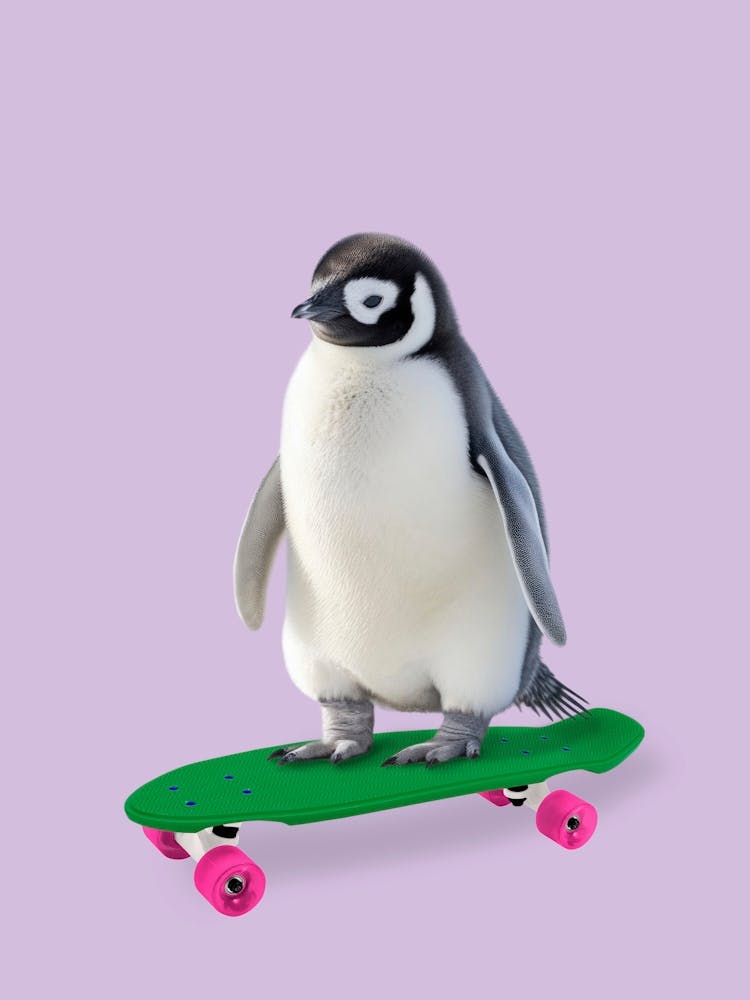 Skate Penguin