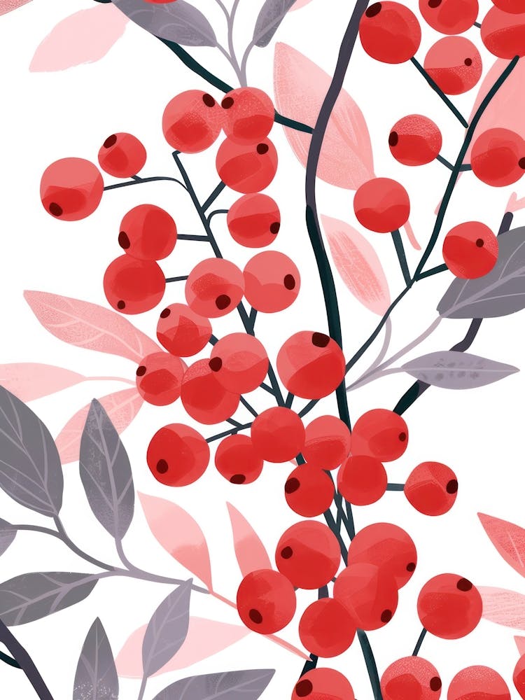Cranberries Close Up Illustration 1