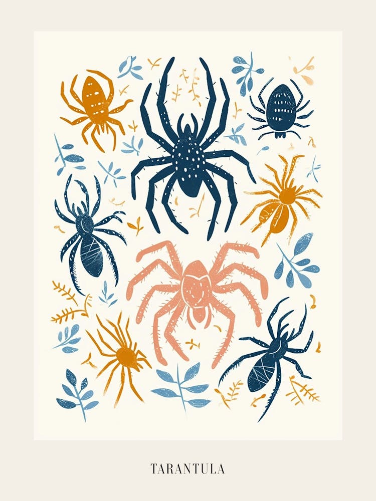 Colourful Insect Illustration Tarantula 10 Poster