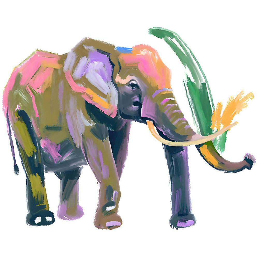 African Forest Elephant 03