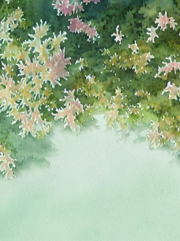 Acropora Selago Storybook Watercolour