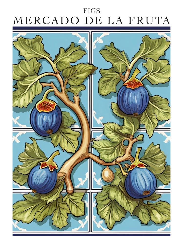 Mercado De La Fruta Figs Illustration 6 Poster
