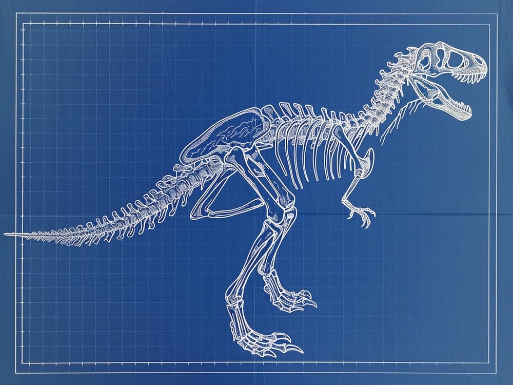 Oviraptor Skeleton Hand Drawn Blueprint 2