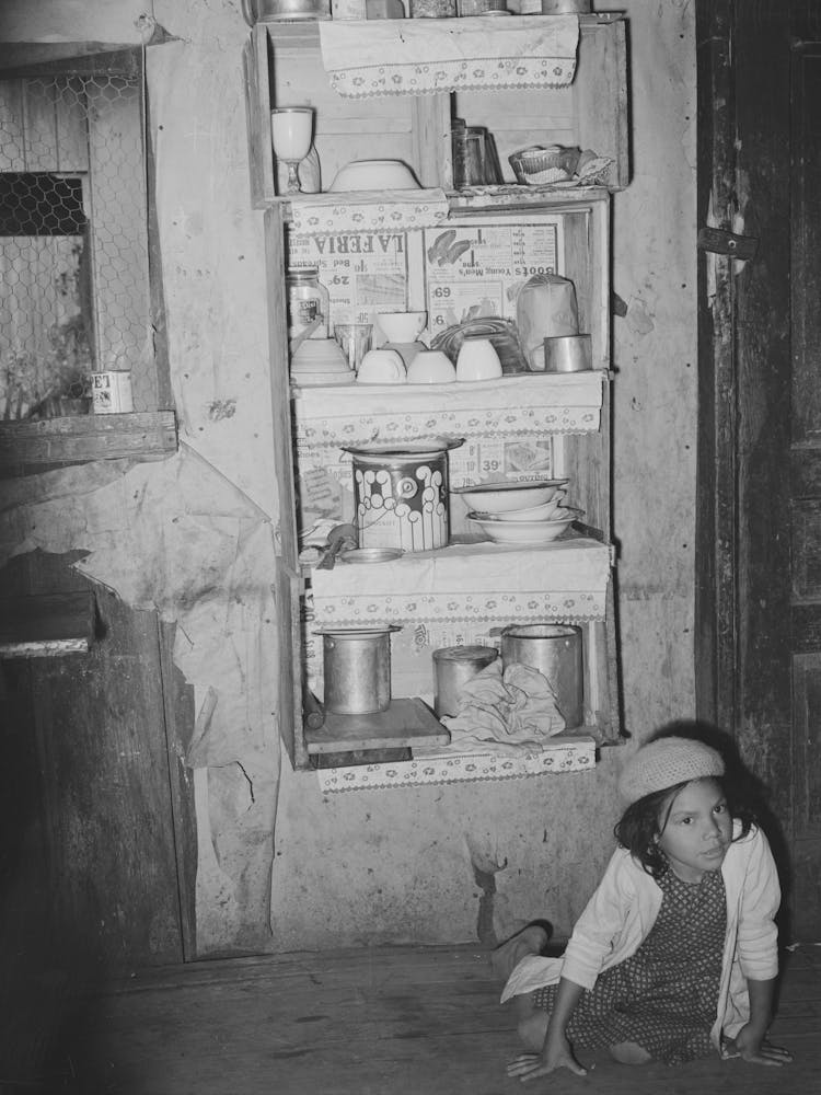 Kitchen Cupboard, Mexican House, San Antonio, Texas By Russell Lee