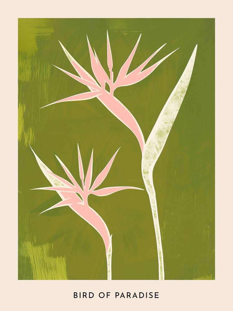 Pink & Green Bird Of Paradise 1 Flower Poster